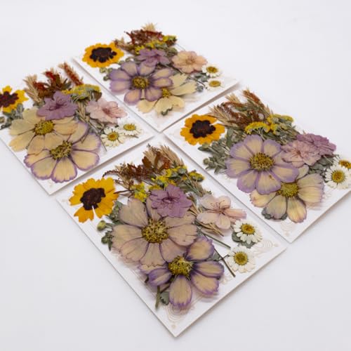Flores Secas Prensadas Naturales para Manualidades 40 Piezas miniatura 6