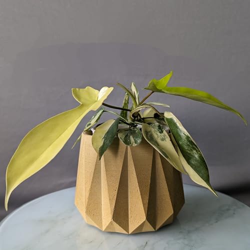 Image of Little Jungle X CuteCrete Sage Concrete Planter For 3 inch - 4 inch Pots (Yellow) | | flower pots for home decoration | Balcony Decor | Garden