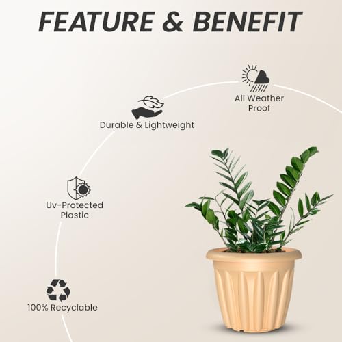 Image of YUCCABE ITALIA SHERA Floot 8 Inch Plastic Flower Pot 3 Piece Set of Round Shape Planter for Home Garden Seedling Planter for pots (Multicolor)