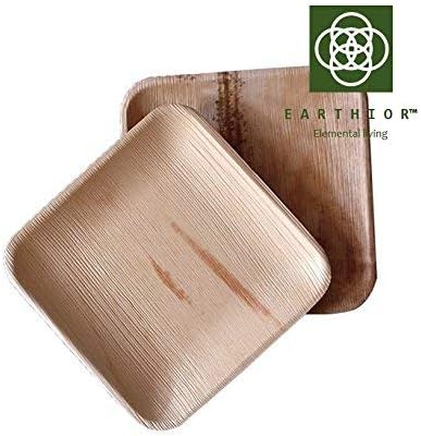 Set of 20 Square Eco Appetizer Plates Multi-use & Disposable Party Plates with Free Jute Bag (Introductory Offer)