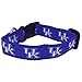 NCAA Kentucky Wildcats Dog Collar (Team Color, Large)