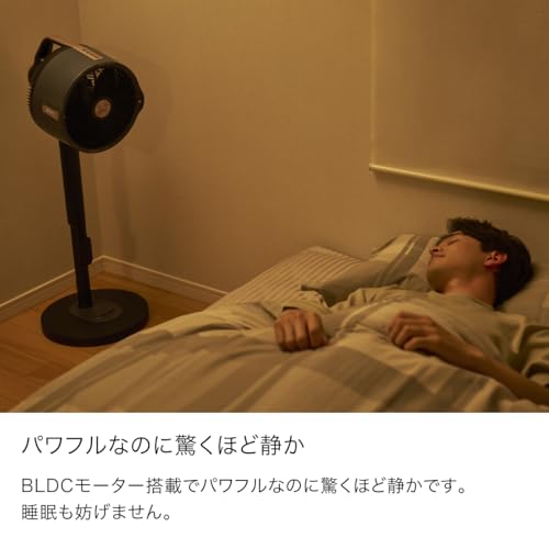 Shark FlexBreeze Pro Mist コードレスサーキュレーターファン FA302J チャコールグレー の商品画像 6