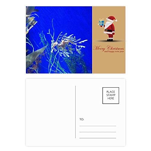 Cartes postales hippocampe bleu pour raconter vos vacances à la mer