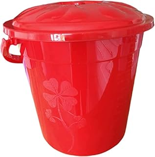 Colour Plastic 20L Bucket with Lid Plus Carry Handle Storage Container Bin Caddy (Sky Blue)