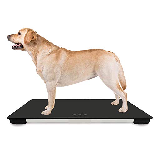 TeaTime 26''L x 18''W Veterinary Scale | Big Dog Weight Scale | Pet Digital Weighing Scale | Large Platform Vet Dog | KG/LB/LB:OZ Switchable
