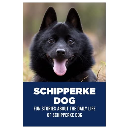 Schipperke Dog: Fun Stories About The Daily Life of Schipperke Dog: Things You Didn’t Know About Schipperke Dog
