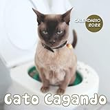  Gato Cagando Calendario 2022: Calendario 12 meses 2022 - 8.5 x 8.5 in cuando está cerrado y 8.5 x 17.0 in abierto - Organización y Planificación - Perfecto como regalos, suministros de oficina