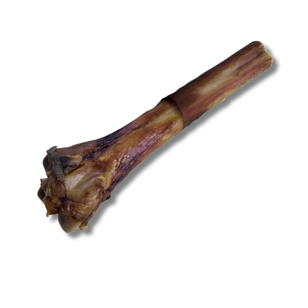 Pawsome Snax Ostrich Metatarsus Bone Dog Treats - Natural Long-Lasting Chews for Aggressive Chewers