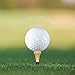Zivisk Wooden Golf Tees 1-1/2 inch 100 Count, 1.5