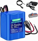 CITYORK 12V 5600mAh Batteria agli ioni di litio ricaricabile per telecamere CCTV, videocamere, lettori MP3, strisce LED e altro ancora