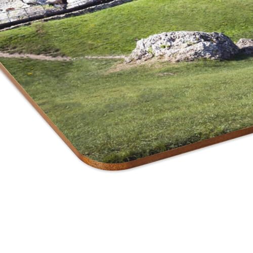 Sets de table souples en liège grand format napperons château Pologne - 4