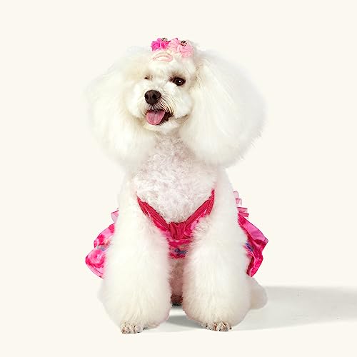 Image of CuteBone One Piece Dog Bikini Swimsuit Dress - Puppy Bathing Suit Costume for Small Dogs - Comfortable & Stylish Pet Clothes for Summer Pool, Beach & Play LTDB01M
