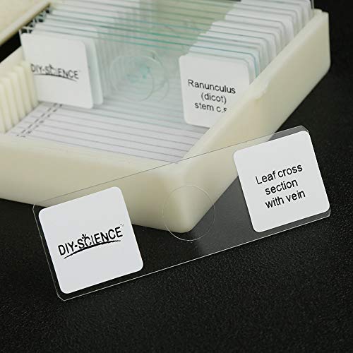 Image of Prepared Microscope Slides Set for Apologia Biology, Pack of 16pcs Specimens Specifically for Biology Course (Apologia Slides)