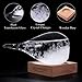 Weather Predicting Storm Glass Set-Elegant Weather Tear Drop Shaped Storm Glass Bottle with Wooden Base - Perfect Home and Office Decoration - Unique Idea & Conversation Starter