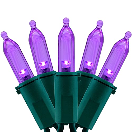 YULETIME 200 Purple LED Christmas Lights, 66 ft Green Wire UL String Light