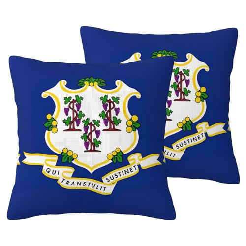 Housses de coussin décoratives Connecticut, set de 2 textiles pour canapé
