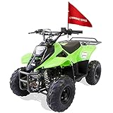 Offroad Mall REX 110cc Dirt Quad 4-Wheeler Mini Gas Powered ATV Off-Road for Kids, Remote Electric Start/Kill Switch, Speed Limiter, Automatic Transmission, EPA & CARB Approved, Green