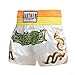 Unisex Boxing Shorts for MMA Muay Thai Training Trunks, Lightweight Breathable Fitness Workout Shorts with Elastic Waist, 4 Colors (M-XXXL)(L)(No. 60)