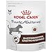 Royal Canin Gastrointestinal Canine Treats, 17.6 Oz.
