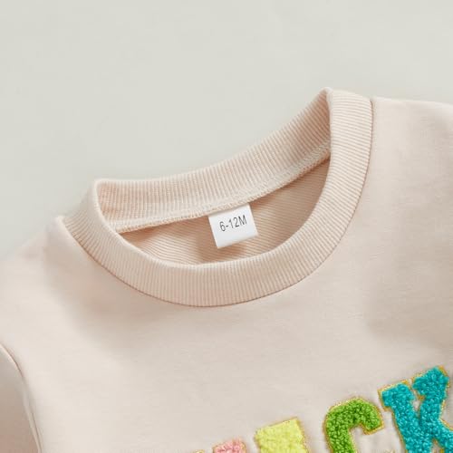 Baby Boy Girl Outfit Colorful Letter Embroidery Sweatshirt Long Sleeve Crewneck Sweater Toddler Fall Clothes3