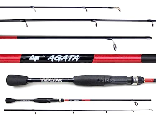 Vara Para Molinete Albatroz Agata 6'0