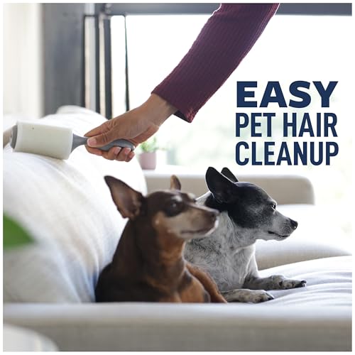 Image of Scotch-Brite Everyday Clean Lint Roller, Lint Remover for Pet Hair, Dark Clothes, Furniture, and Dusty Surfaces, Picks Up Fur & Fluff in Your Home, Car, & Office, 5 Pack, 475 Adhesive Sheets Total