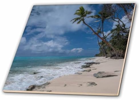 3dRose Deserted Sandy Beach on Island with Palm Trees 4 Inch Ceramic Tile image 4