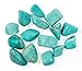 The Chrysalis Stone | Tumbled Stone | Amazonite | Size 0.75” - 1.25” | 1 pc