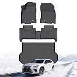 Floor Mats & Cargo Liner for Lexus NX NX200t NX300 NX300h 2015-2021