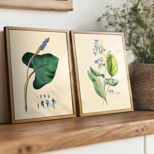 crmotu Botanical Framed Wall Art, Green Leaf Canvas Art Prints, Nature Plant Study Vintage Pictures, Minimalist Rustic Farmhouse Wall Decor, Bedroom Kitchen Desktop Bathroom Decorations, 8x10inch