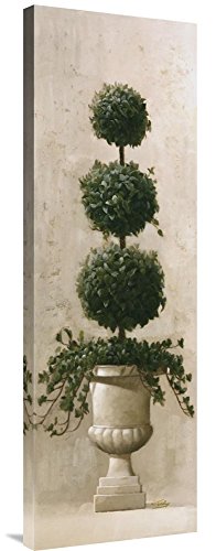 Global Gallery Budget GCS-119343-1236-142 Welby Roman Topiary Ii Gallery Wrap Giclee on Canvas Print Wall Art