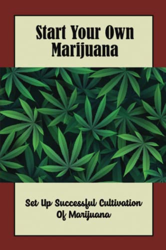 Start Your Own Marijuana: Set Up Successful Cultivation Of Marijuana