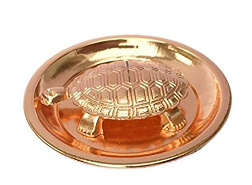 Sai Amrut Tortoise, Standard, Multicolour