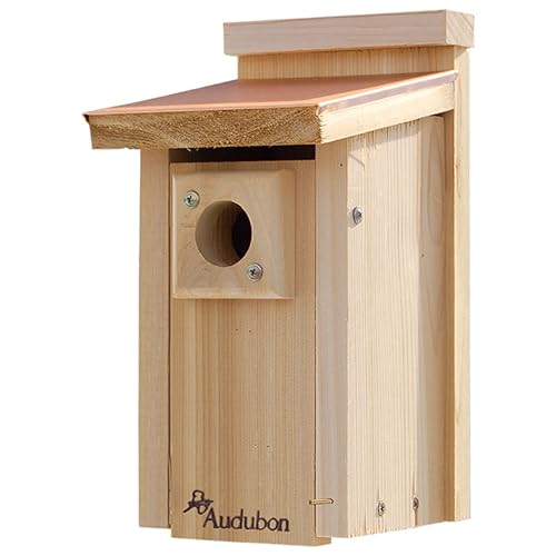 Audubon Coppertop Cedar Wood Bluebird House Model NACOPBB