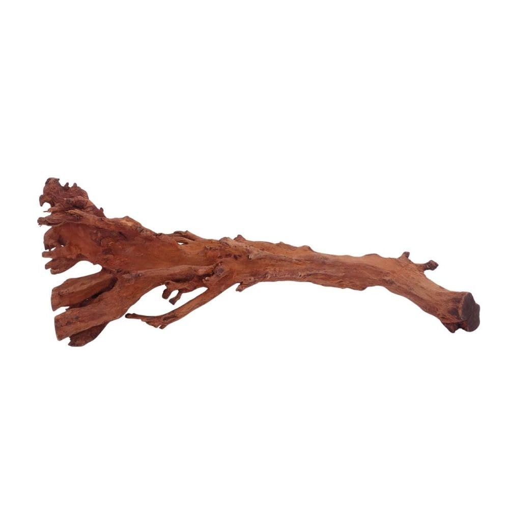 AquaOne Aquarium Wurzel M Jungle Wood Nr.4467 Aquarium Wurzel Holz Deko Aquascaping Dekoration Landschaft Moos Natur Echtholz