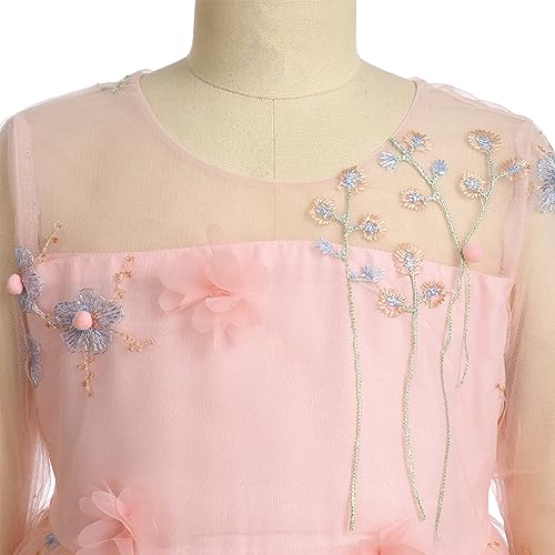 Flower Girls Princess Dress Embroidered Pageant Wedding Birthday Formal Party Tulle Tutu Dress Kids Ball Gown3