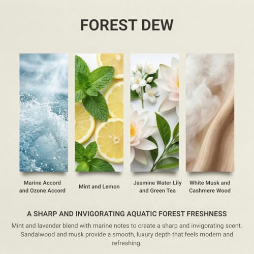Image of LUNAR BEAR Forest Dew Car Air Freshener | Hanging Car Perfume Diffuser with Protective Case | Luxury Car Fragrance Made with Premium Essential Oils | Alcohol Free & Long Lasting