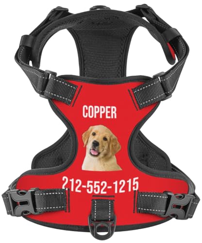 WINKEEY Pettorina per cani Personalizzata, Pettorina per cani Taglia Piccola, Media e Grande, ad h, Personalizzabile con nome e numero di telefono, Riflettente