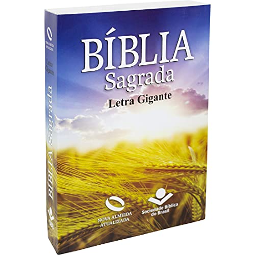 Bíblia Sagrada Letra Grande