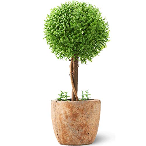 丸い形をした鉢植え