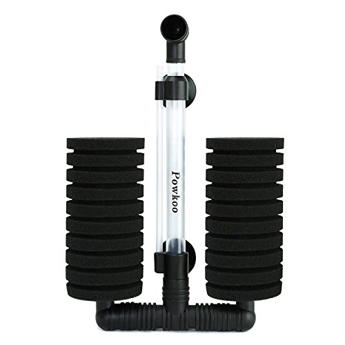 aquarium filters betta