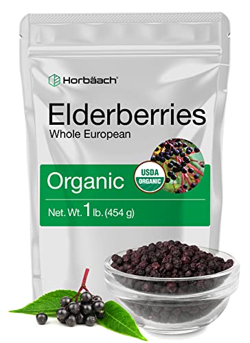 Elderberries (Sambucus nigra)