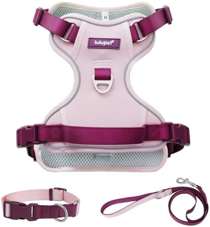 No Pull Dog Harness Leash and Collar Set, Soft Adjustable Dogs Ve...