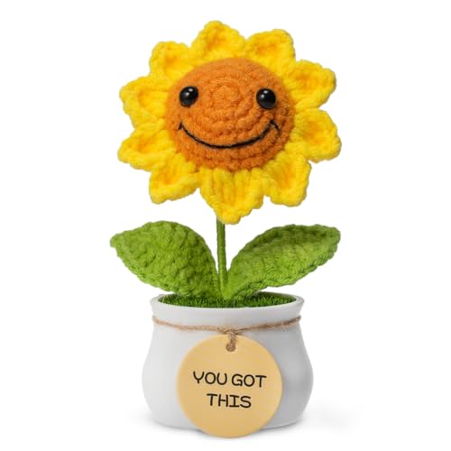 Levvohd Handmade Crochet Sunflower Gifts for Women Rochet Flowers Office Desk Accessories Decor for Coworker Sister Best Friend Teacher - Christmas Mother Day Birthday Gift (You Got This)