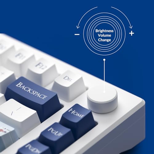 Akko MOD007B Gaming Keyboard Rapid Trigger With Magnetic Switches thumb #5