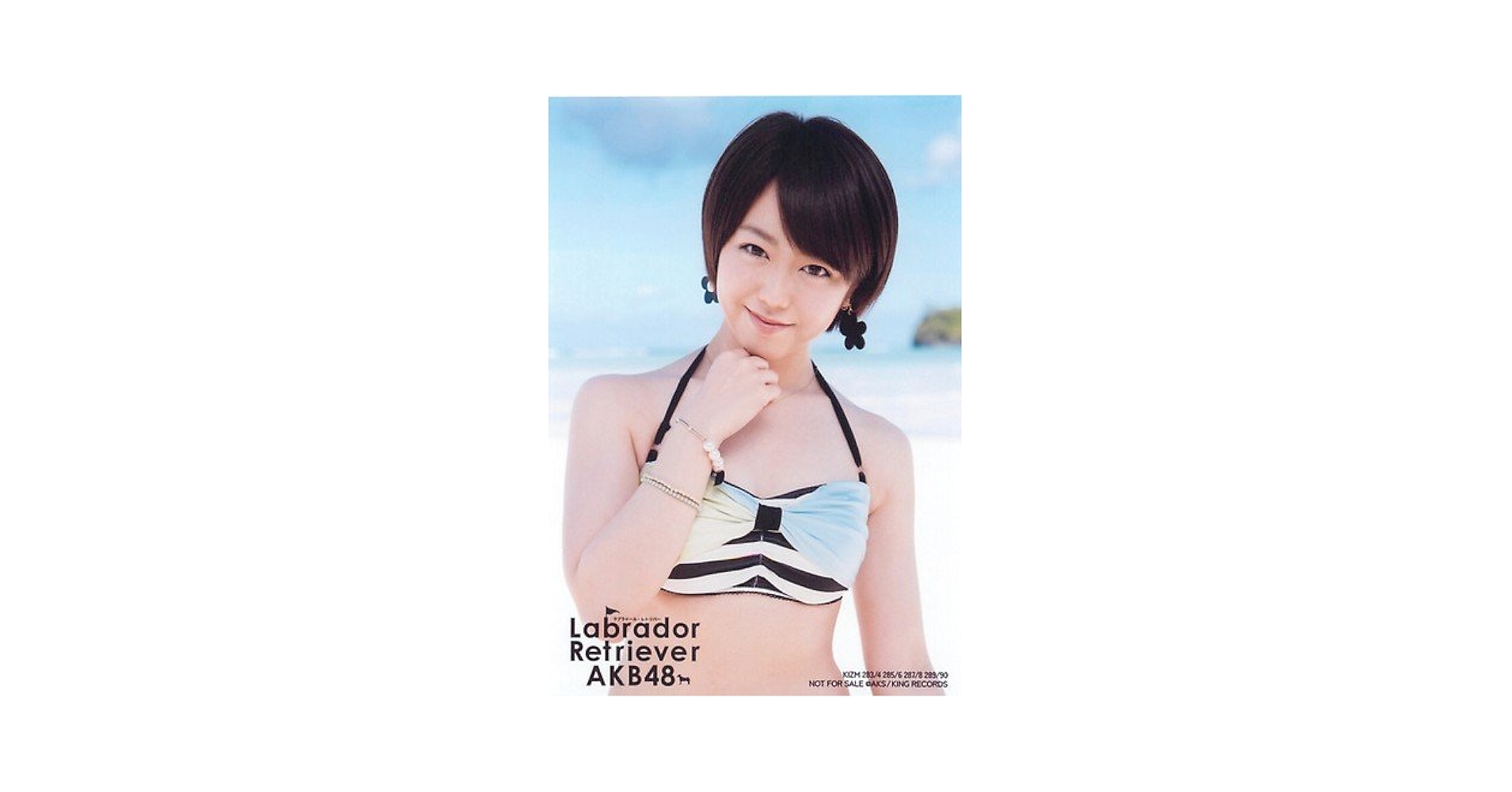 AKB ラブラドールレトリバー 通常 生写真 ラブラドール・レトリバー 【通常盤 Type K :生写真1種ランダム