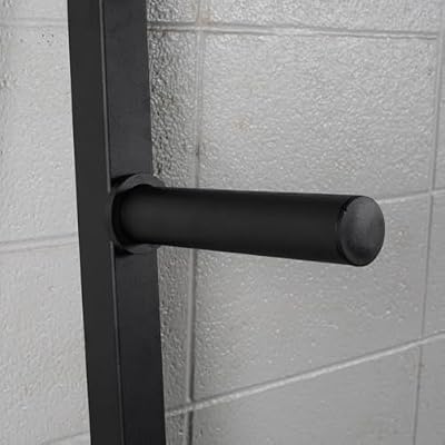 Titan Fitness Weight Plate Wall Mounted Storage Rack, Angled 4-Peg Design, Olympic Sized Weight Plate Organizer, Rated 800 LB, Anchored Wall Mounted Storage