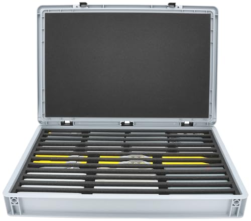 Set Feldherr Eurobox 60 x 40 cm per modellismo ferroviario - scala N - Contenitore Euro compatto e robusto, incluso inserto in schiuma, con 12 scomparti per lo stoccaggio in verticale di locomotive, vagoni e veicoli.