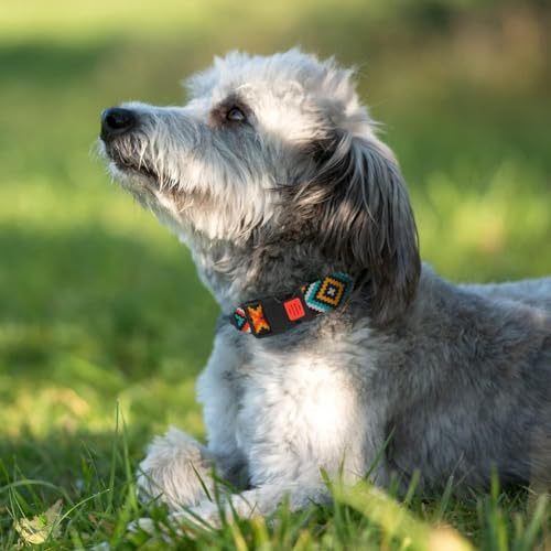 CollarDirect Aztec Hundehalsband Verstellbare Nylon Tribal Muster Geometrische Haustier-Halsbänder für Hunde Klein Mittel Groß Welpe Zubehör