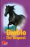 Diablo - The Bequest
